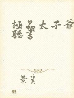 极品太子爷小说听书