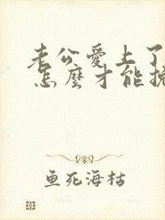 老公爱上了别人 怎么才能挽回封面