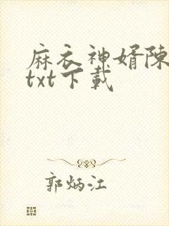 麻衣神婿陈黄皮txt下载