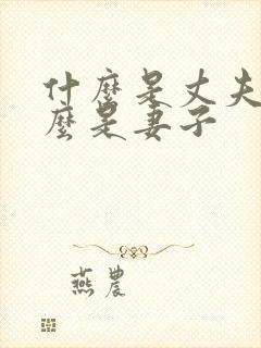 什么是丈夫 什么是妻子