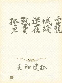 孤战迷城电视剧免费在线观看