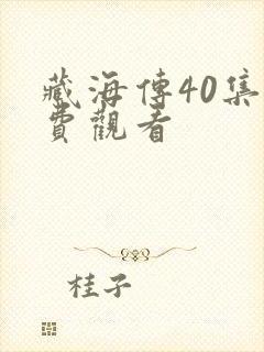 藏海传40集免费观看封面