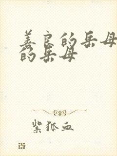 善良的岳母年轻的岳母