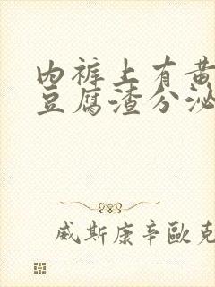 内裤上有黄黄的豆腐渣分泌物是怎么回事