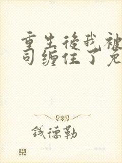 重生后我被前上司缠住了免费阅读封面