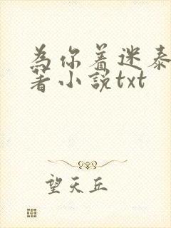 为你着迷泰剧原著小说txt