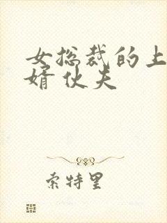 女总裁的上门龙婿 伙夫封面