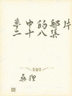 梦中的那片海第二十八集