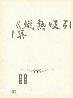 《炽热吸引》21集