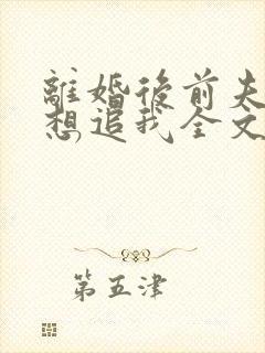 离婚后前夫总是想追我全文免费阅读