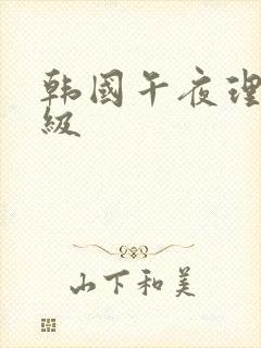 韩国午夜理论三级