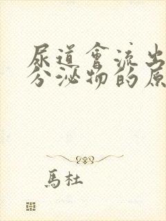 尿道会流出白色分泌物的原因