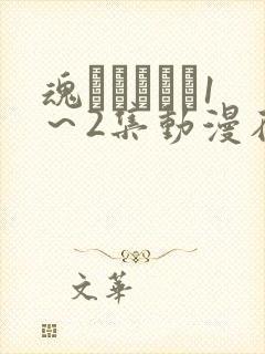 魂インサート1～2集动漫在线观看到