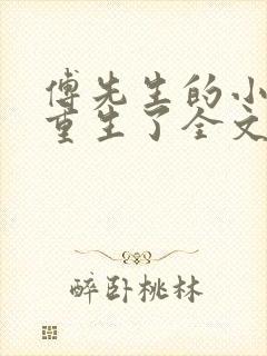 傅先生的小祖宗重生了全文免费阅读