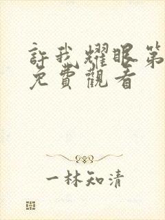 许我耀眼第四集免费观看封面