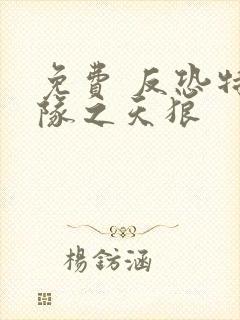 免费 反恐特战队之天狼