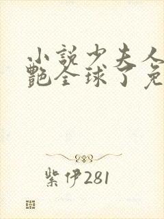 小说少夫人她惊艳全球了免费阅读