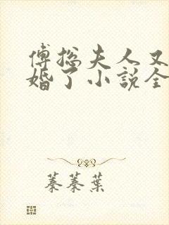 傅总夫人又闹离婚了小说全文阅读