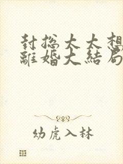 封总太太想跟你离婚大结局免费阅读