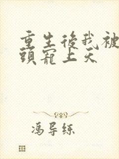 重生后我被死对头宠上天