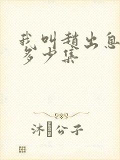 我叫赵出息总共多少集封面