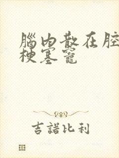 脑内散在腔隙性梗塞灶