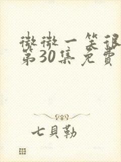 微微一笑很倾城第30集免费