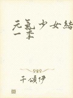 元气少女结缘第一季封面