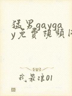 猛男gaygay免费视频网站video