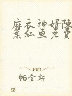 麻衣神婿陈黄皮叶红鱼免费阅读全文封面