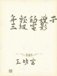 年轻的嫂子韩国三级电影封面