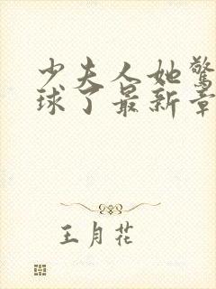 少夫人她惊艳全球了最新章节