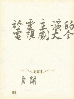 于震主演的全部电视剧大全