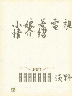 小娘惹电视剧剧情介绍封面