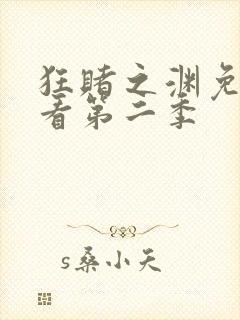 狂赌之渊免费观看第二季封面