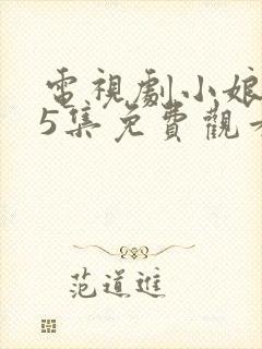 电视剧小娘惹45集免费观看大结局封面