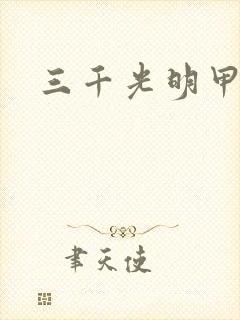 三千光明甲