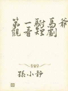 第一驸马爷免费观看短剧