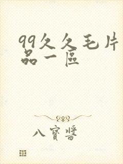 99久久毛片精品一区