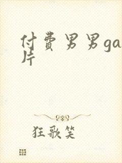 付费男男gay片封面