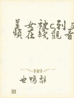 美女被c到爽视频在线观看封面