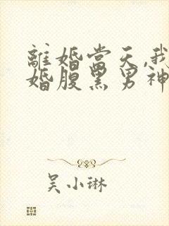 离婚当天,我闪婚腹黑男神 陈富贵