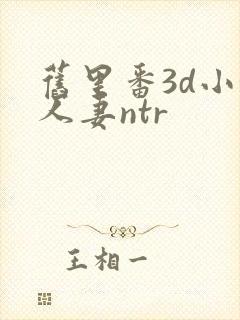 旧里番3d小婷人妻ntr