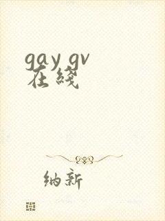 gay gv 在线