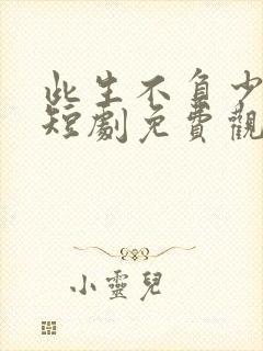 此生不负少年郎短剧免费观看