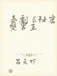 泰剧《秘密爱》双男主