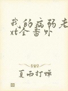 我的病弱老婆txt全番外封面