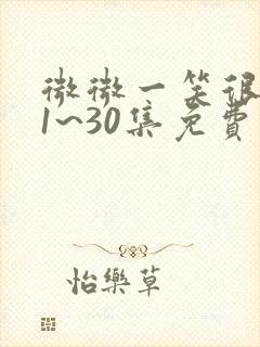 微微一笑很倾城1~30集免费观看