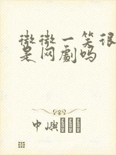 微微一笑很倾城是网剧吗