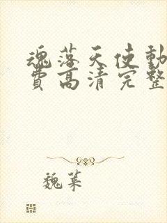 魂落天使动漫免费高清完整版观看